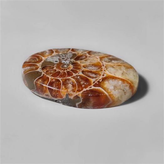 ammonite-fossil-cabochon-n10281