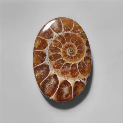 ammonite-fossil-cabochon-n10282