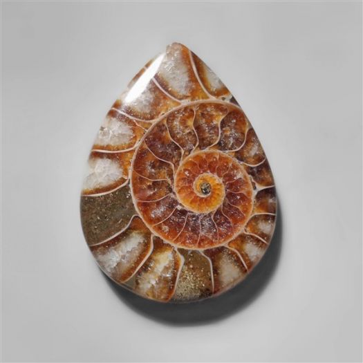 ammonite-fossil-cabochon-n10283