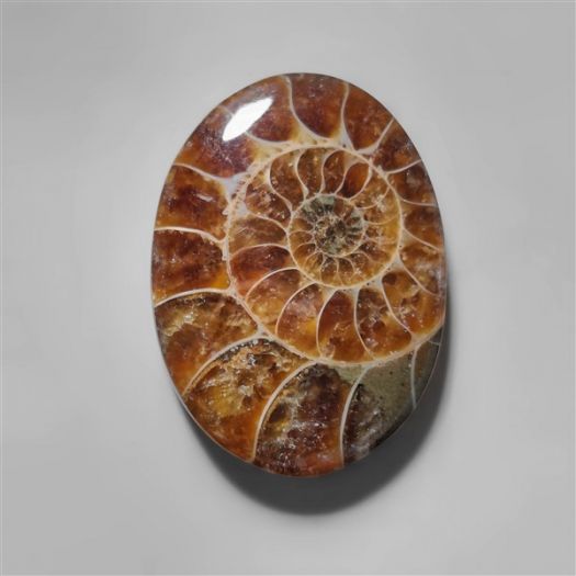 ammonite-fossil-cabochon-n10285