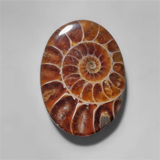 ammonite-fossil-cabochon-n10286