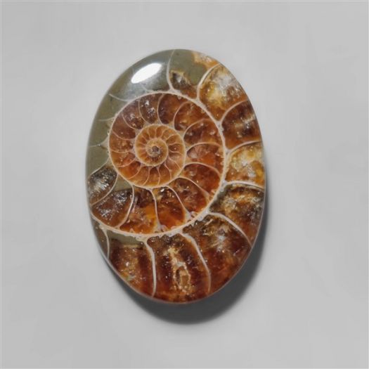 ammonite-fossil-cabochon-n10287
