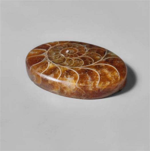 ammonite-fossil-cabochon-n10288