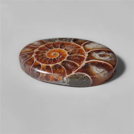 ammonite-fossil-cabochon-n10289