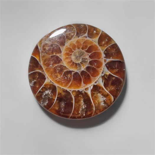 ammonite-fossil-cabochon-n10291