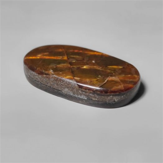 large-ammolite-n10329