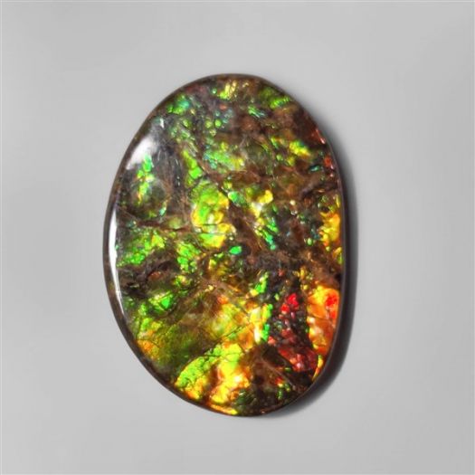 large-ammolite-n10335