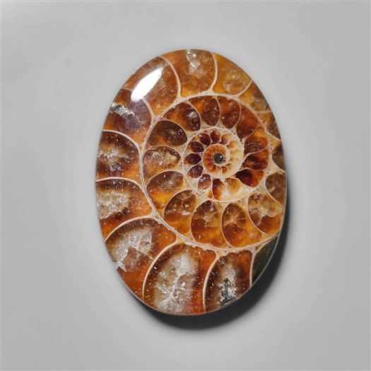 ammonite-fossil-cabohcon-n10429