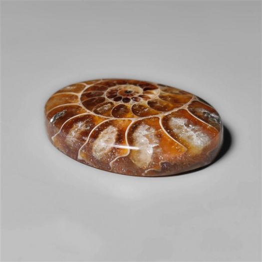 ammonite-fossil-cabohcon-n10429