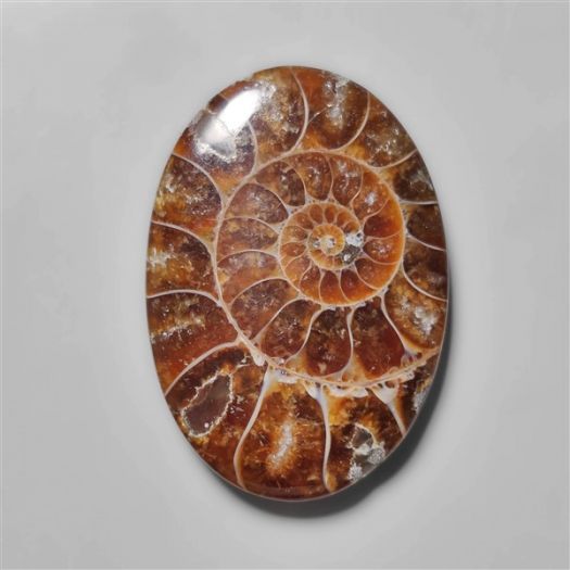 ammonite-fossil-cabohcon-n10430