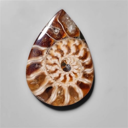 ammonite-fossil-cabohcon-n10433