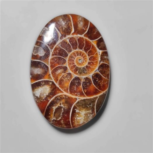 ammonite-fossil-cabohcon-n10435