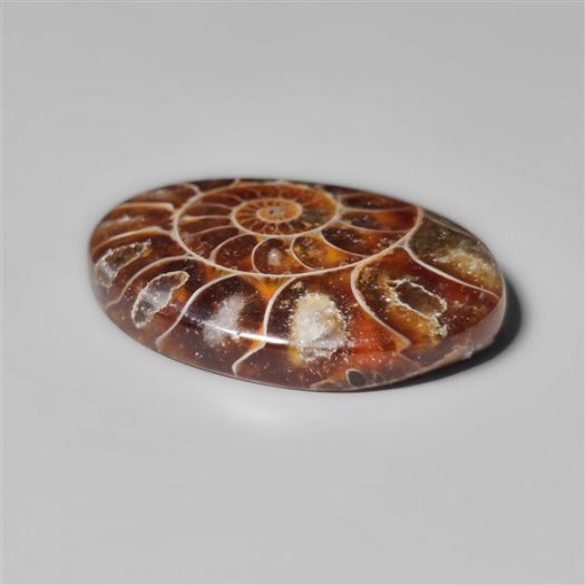 ammonite-fossil-cabohcon-n10435