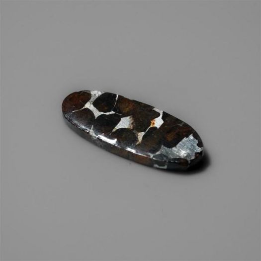 Rare Pallasite Meteorite