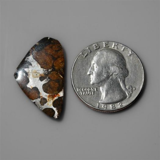Rare Pallasite Meteorite