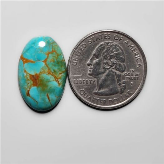 fox-turquoise-cabochon-n15063