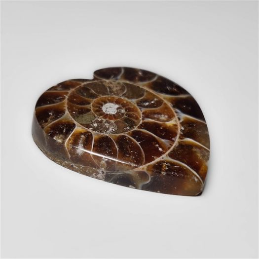 Ammonite Heart Carving