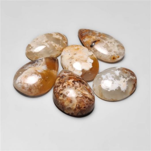 Plume Agate Cabochons Lot