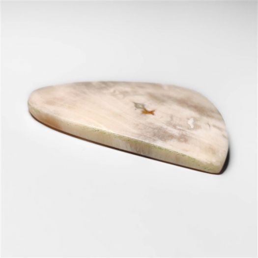 arizona-petrified-wood-n16567