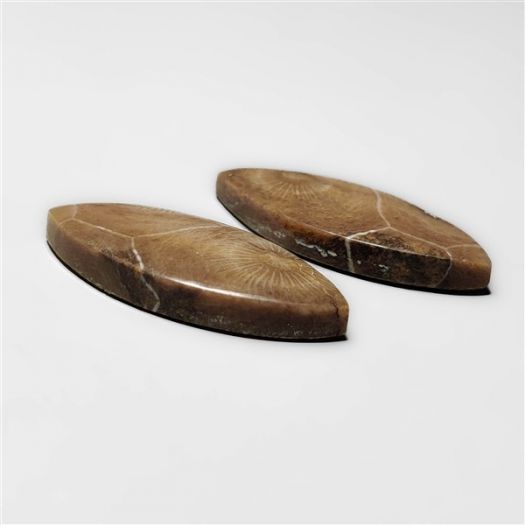 moroccan-fossil-coral-pair-n16850