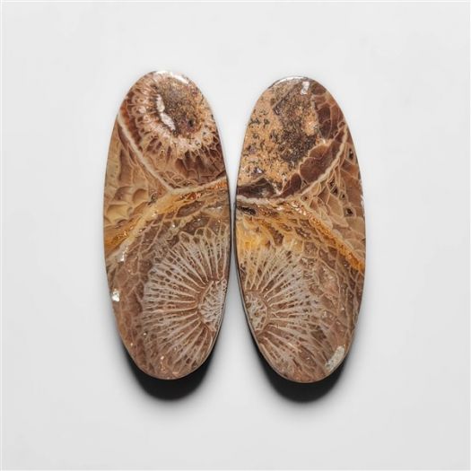 moroccan-fossil-coral-pair-n16851