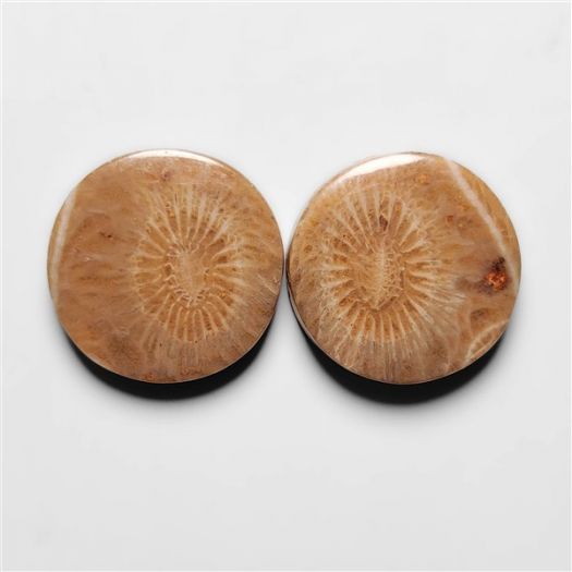 moroccan-fossil-coral-pair-n16853