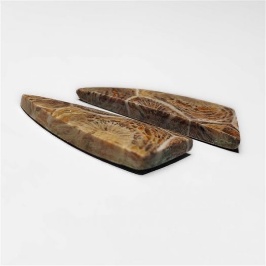 moroccan-fossil-coral-pair-n16854