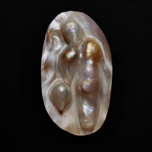 Rare Blister Pearl