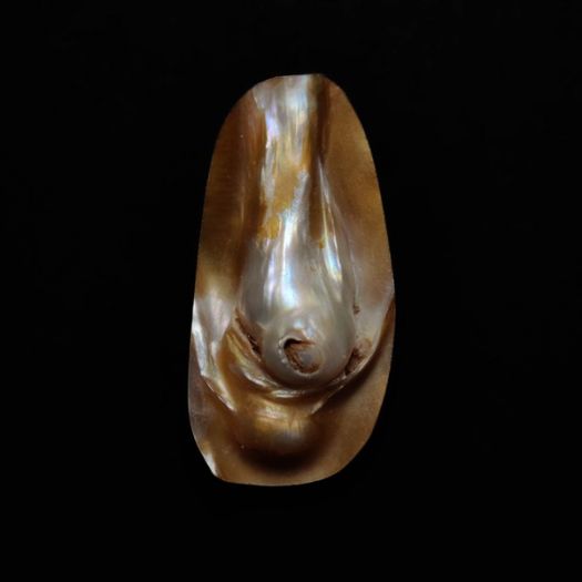 rare-blister-pearl-n17292