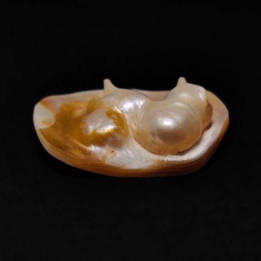 rare-blister-pearl-n17295