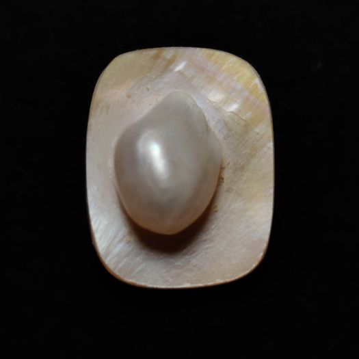 blister-pearl-n17302