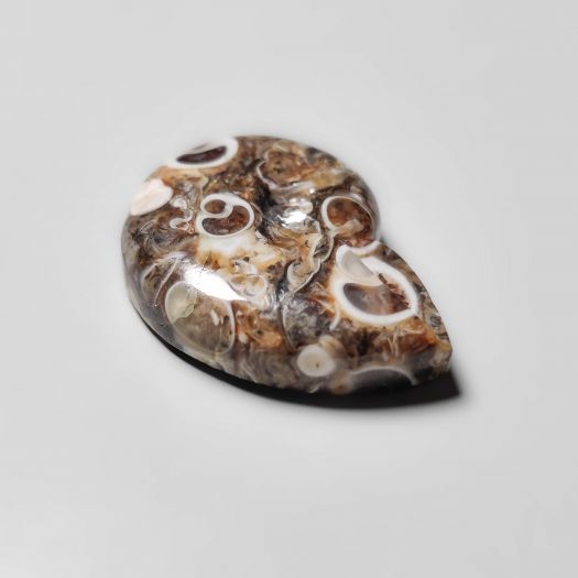 Turritella Jasper Ammonite Carving