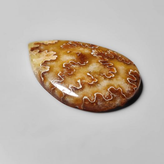 Suture Ammonite Fossil Cabochon