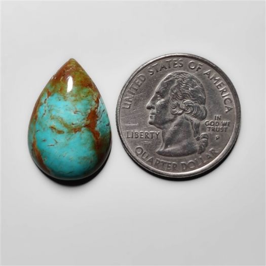 fox-turquoise-cabochon-n15051