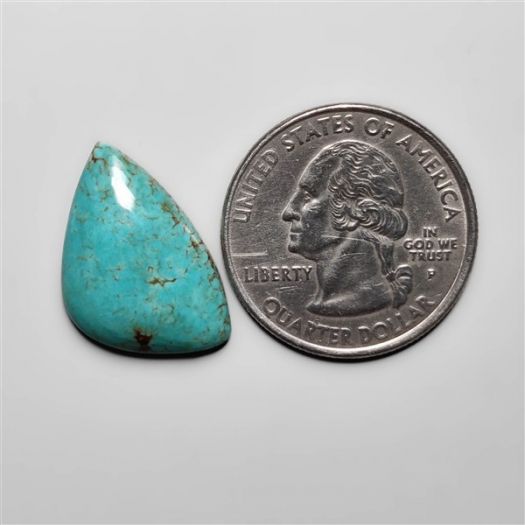 fox-turquoise-cabochon-n15055