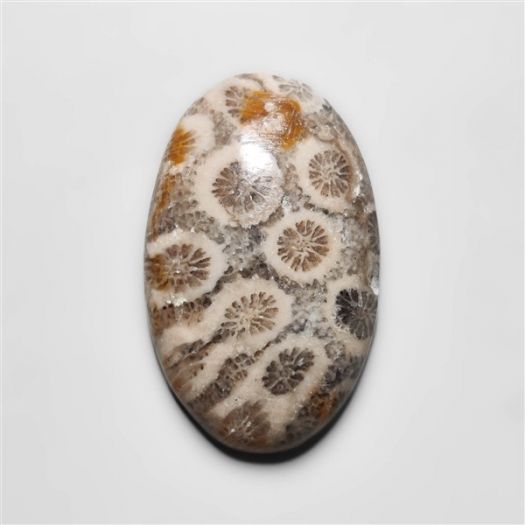 Fossil Coral Cabochon-N20314