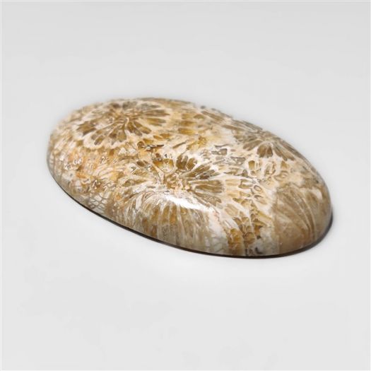 Fossil Coral Cabochon-N20318