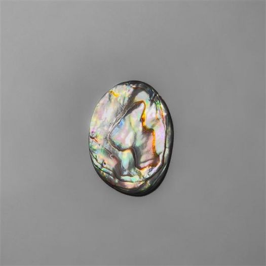 Paua/ Abalone Shell