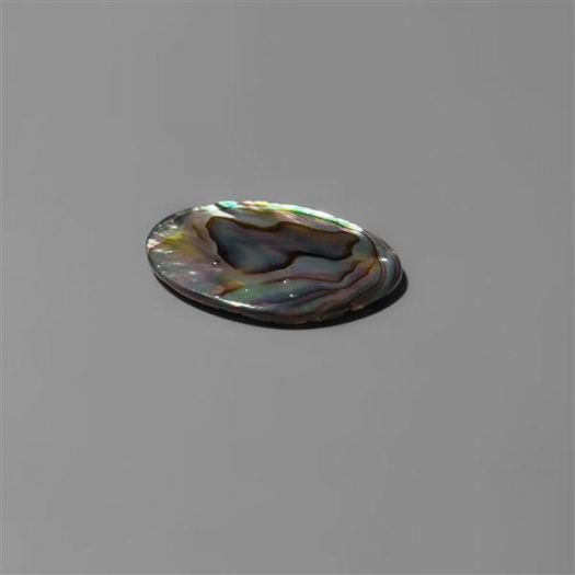 Paua/ Abalone Shell