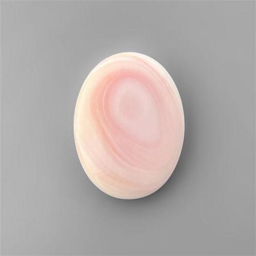 pink-conch-shell-n2834