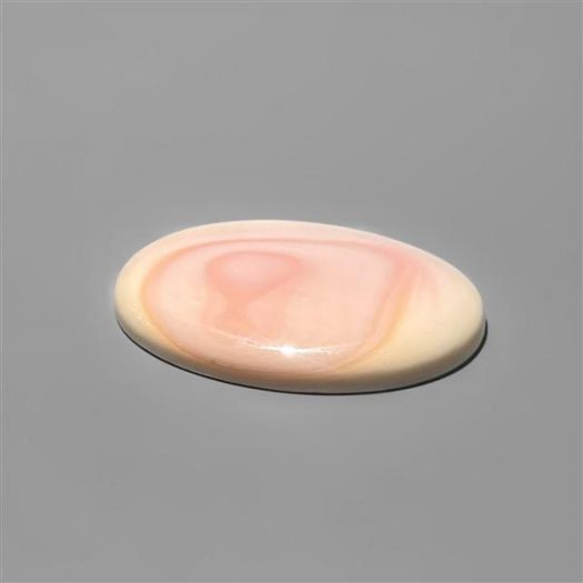 pink-conch-shell-n2836