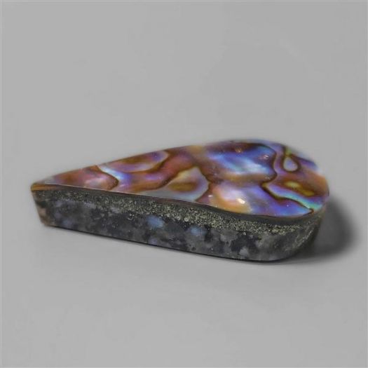 Abalone Paua Shell