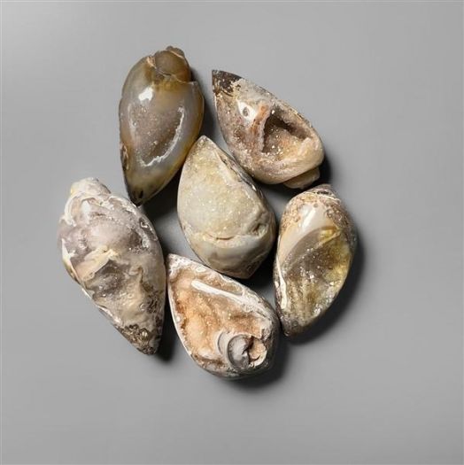 snail-shell-druzy-lot-n3336