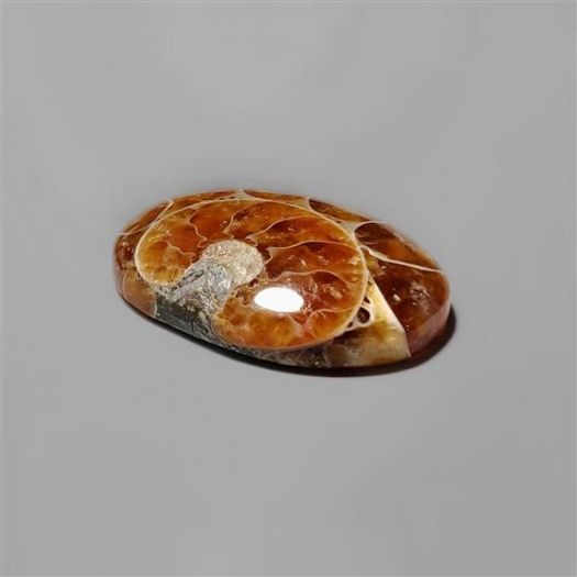 ammonite-fossil-cabochon-n4080