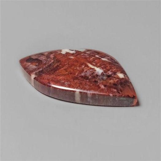 arizona-petrified-wood-n5273