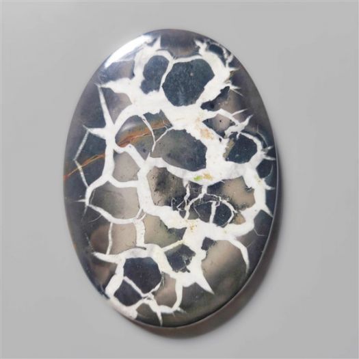Large Black Septarian Fossil Cabochon-N7179