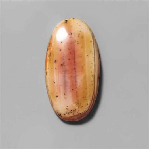 arizona-petrified-wood-n9399